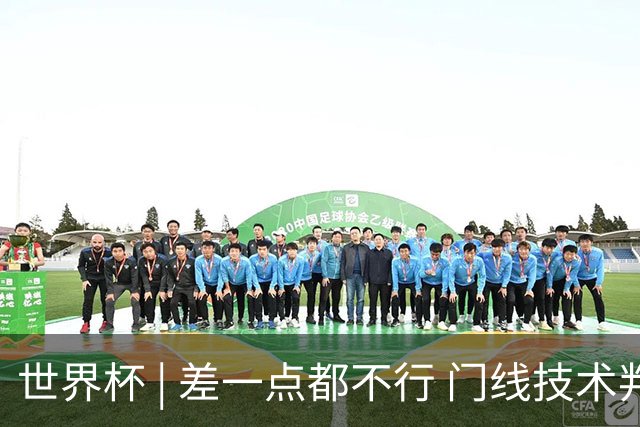 世界杯 | 差一点都不行 门线技术判定日本队并未进球