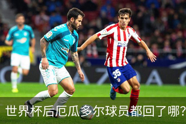 世界杯后厄瓜多尔球员都回了哪？输给墨西哥后他们各归其主